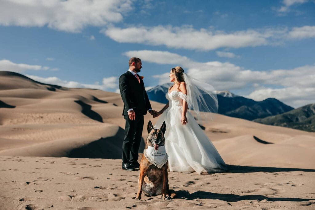A couple eloping in great sand dunes national park. They are blurred, while their dog is in focus in the foreground. The dog has a wedding bandana on.