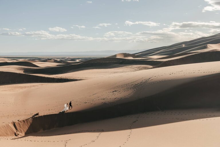 A couple in wedding attire holding hands and walking while their dog sits and waits behind them. The couple is walking up a sand dune in great sand dunes national park.